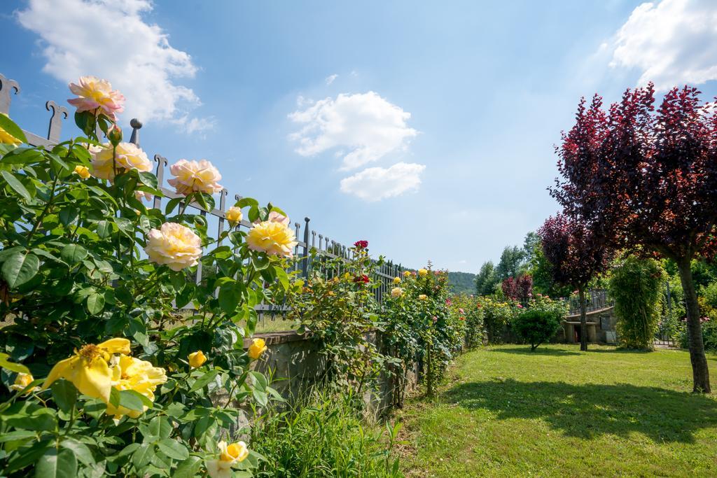 B&B Maesta' Di Cudino Arezzo Buitenkant foto